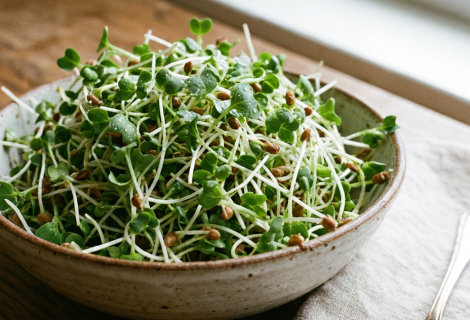 Broccoli Sprouts: The Tiny Superfood With Remarkable Health Potential Broccoli Sprouts: The Tiny Superfood With Remarkable Health Potential